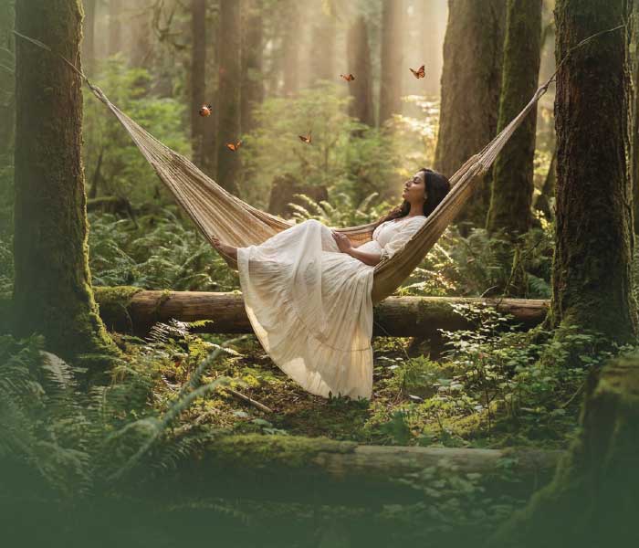 Metropolis The forest Kingdom