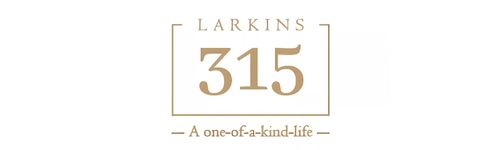 Larkins 315 Rio B | 2 & 3 BHK Flats